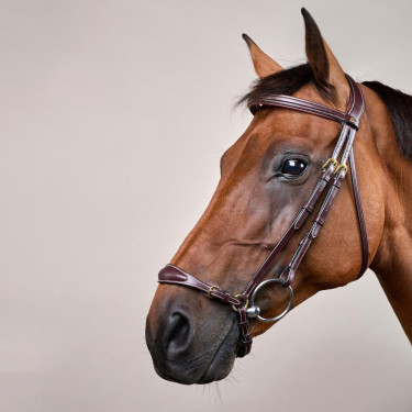 Bridão Muserola Alemã Ajustável D Collection by Dy'on Castanho