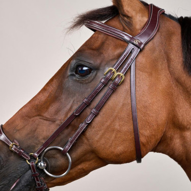 Bridão Muserola Alemã Ajustável D Collection by Dy'on Castanho