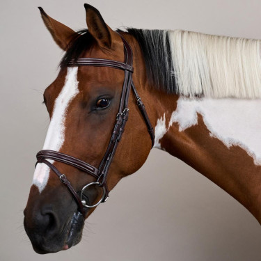 Bridão Narigueira Combinada US Collection by Dy'on Castanho