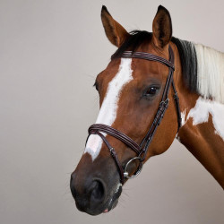 Bridão Narigueira Combinada US Collection by Dy'on Castanho