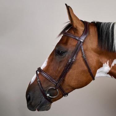 Bridão Narigueira Combinada US Collection by Dy'on Castanho