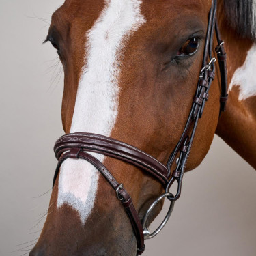 Bridão Narigueira Combinada US Collection by Dy'on Castanho