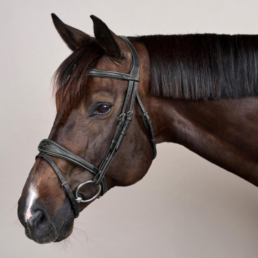 Bridão Muserola Combinada Anatômica Coleção US by Dy'on Preto