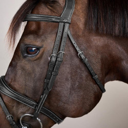 Bridão Muserola Combinada Anatômica Coleção US by Dy'on Preto