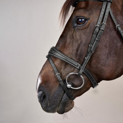 Bridão Muserola Combinada Anatômica Coleção US by Dy'on Preto