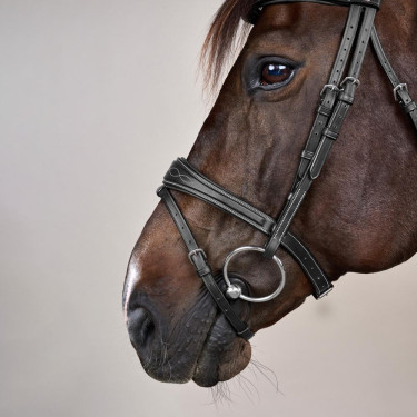 Bridão Muserola Combinada Anatômica Coleção US by Dy'on Preto