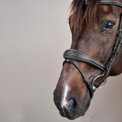 Bridão Muserola Combinada Anatômica Coleção US by Dy'on Preto