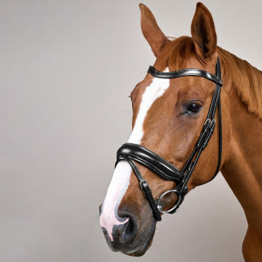 Bridão Noseband Combinado Largo Working By Dy'on Preto Bridão Noseband Combinado Largo Working By Dy'on Preto