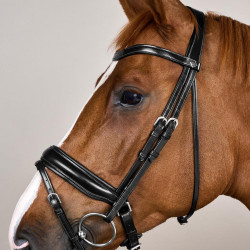 Bridão Noseband Combinado Largo Working By Dy'on Preto Bridão Noseband Combinado Largo Working By Dy'on Preto