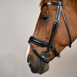 Bridão Noseband Combinado Largo Working By Dy'on Preto Bridão Noseband Combinado Largo Working By Dy'on Preto