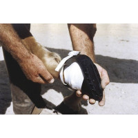 Sandália para cascos Shoof... Sandália para cascos Shoof...