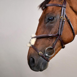 Bridon Muserola Cruzada D Collection by Dy'on Castanho Bridon Muserola Cruzada D Collection by Dy'on Castanho