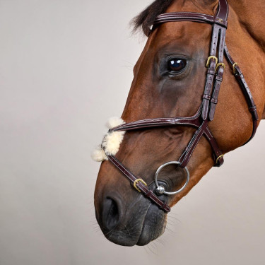 Bridon Muserola Cruzada D Collection by Dy'on Castanho Bridon Muserola Cruzada D Collection by Dy'on Castanho