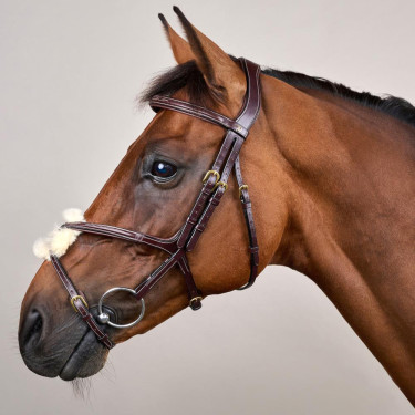 Bridon Muserola Cruzada D Collection by Dy'on Castanho Bridon Muserola Cruzada D Collection by Dy'on Castanho