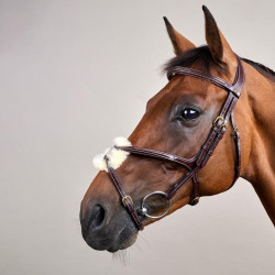 Bridon Muserola Cruzada D Collection by Dy'on Castanho Bridon Muserola Cruzada D Collection by Dy'on Castanho