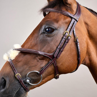 Bridon Muserola Cruzada D Collection by Dy'on Castanho Bridon Muserola Cruzada D Collection by Dy'on Castanho