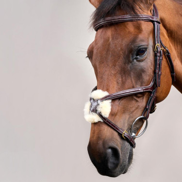 Bridon Muserola Cruzada D Collection by Dy'on Castanho Bridon Muserola Cruzada D Collection by Dy'on Castanho