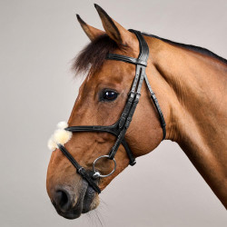 Bridão com Narigueira Cruzada New English Collection by Dy'on Preto Bridão com Narigueira Cruzada New English Collection by Dy'on Preto