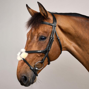 Bridão com Narigueira Cruzada New English Collection by Dy'on Preto Bridão com Narigueira Cruzada New English Collection by Dy'on Preto