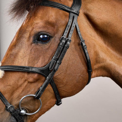 Bridão com Narigueira Cruzada New English Collection by Dy'on Preto Bridão com Narigueira Cruzada New English Collection by Dy'on Preto