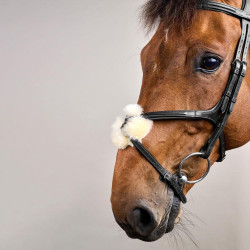 Bridão com Narigueira Cruzada New English Collection by Dy'on Preto Bridão com Narigueira Cruzada New English Collection by Dy'on Preto