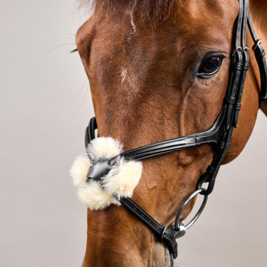 Bridão com Narigueira Cruzada New English Collection by Dy'on Preto Bridão com Narigueira Cruzada New English Collection by Dy'on Preto