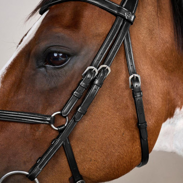 Bridão Crossover Muserola Working By Dy'on Preto