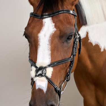 Bridão Crossover Muserola Working By Dy'on Preto