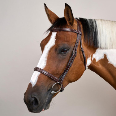 Bridão Muserola Francesa Coleção US da Dy'on Castanho