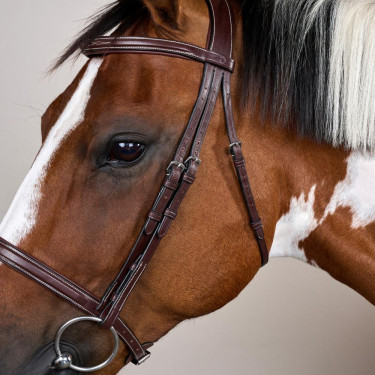 Bridão Muserola Francesa Coleção US da Dy'on Castanho