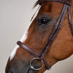 Bridão Muserola Francesa Coleção US da Dy'on Castanho