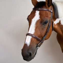 Bridão Muserola Francesa Coleção US da Dy'on Castanho
