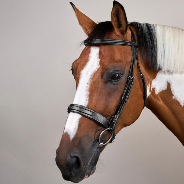 Bridão Muserola Large Hunter Coleção US da Dy'on Preto