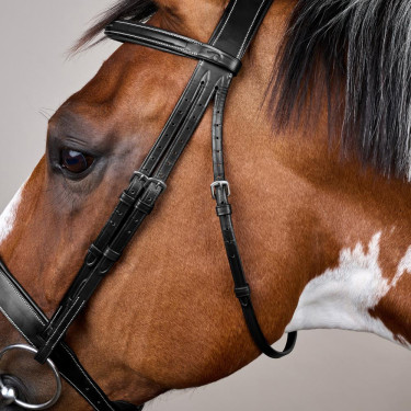 Bridão Muserola Large Hunter Coleção US da Dy'on Preto