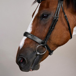 Bridão Muserola Large Hunter Coleção US da Dy'on Preto