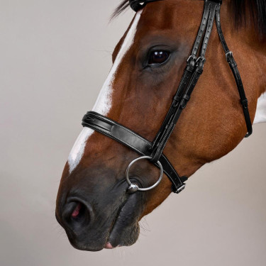 Bridão Muserola Large Hunter Coleção US da Dy'on Preto
