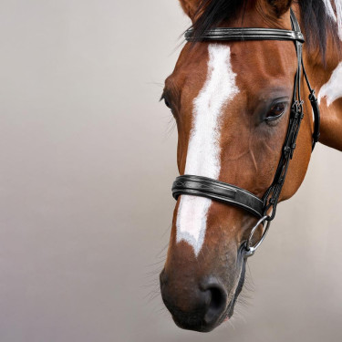 Bridão Muserola Large Hunter Coleção US da Dy'on Preto