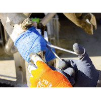 Tesoura para curativo em... Tesoura para curativo em...