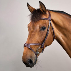 Bridão X-Fit New English Collection by Dy'on Castanho Bridão X-Fit New English Collection by Dy'on Castanho