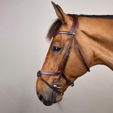 Bridão X-Fit New English Collection by Dy'on Castanho Bridão X-Fit New English Collection by Dy'on Castanho