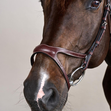 Bridão X-Fit Coleção US da Dy'on Castanho