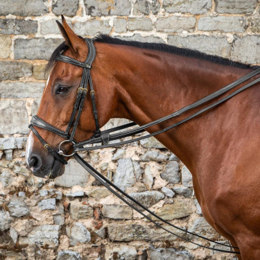 Rendas alemãs Full Leather 1/2 D Collection by Dy'on Preto