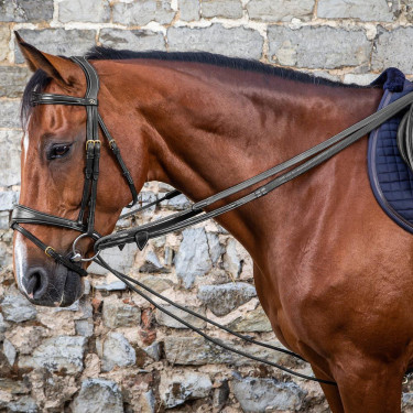 Rendas alemãs Leather/Nylon 5/8 D Collection by Dy'on Preto