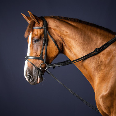 Rendas alemãs em couro/nylon 5/8 New English Collection by Dy'on Preto