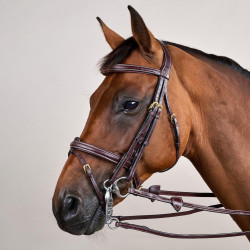 Bridão Muserola Combinada D Collection by Dy'on Castanho