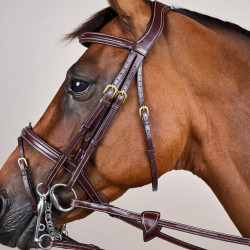 Bridão Muserola Combinada D Collection by Dy'on Castanho