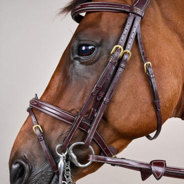 Bridão Muserola Combinada D Collection by Dy'on Castanho