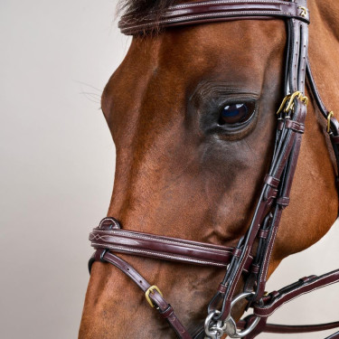 Bridão Muserola Combinada D Collection by Dy'on Castanho