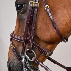 Bridão Muserola Combinada D Collection by Dy'on Castanho