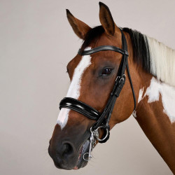 Bridão Muserola Larga Envernizada Working By Dy'on Preto